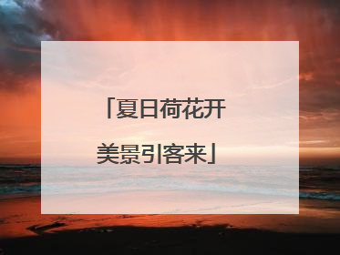 夏日荷花开 美景引客来