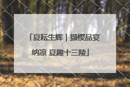 夏耘生辉｜撷樱品宴纳凉 夏趣十三陵