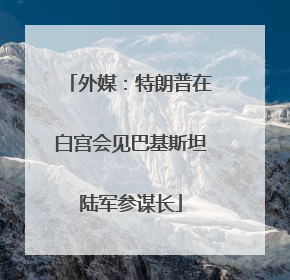 外媒：特朗普在白宫会见巴基斯坦陆军参谋长