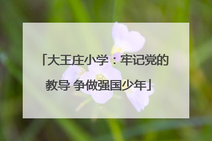 大王庄小学：牢记党的教导 争做强国少年