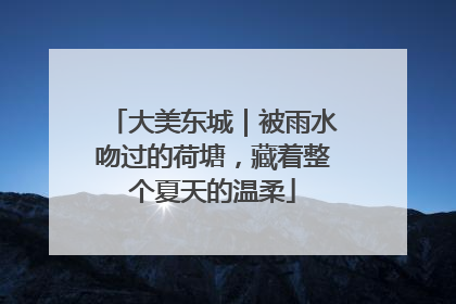 大美东城｜被雨水吻过的荷塘，藏着整个夏天的温柔