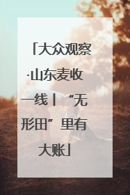 大众观察·山东麦收一线丨“无形田”里有大账