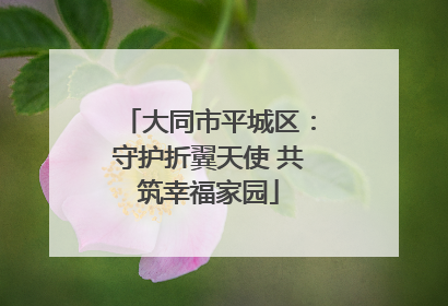 大同市平城区：守护折翼天使 共筑幸福家园