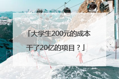 大学生200元的成本干了20亿的项目？