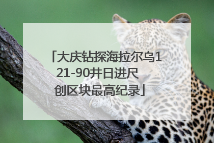 大庆钻探海拉尔乌121-90井日进尺 创区块最高纪录
