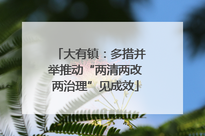 大有镇：多措并举推动“两清两改两治理”见成效