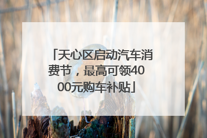 天心区启动汽车消费节，最高可领4000元购车补贴