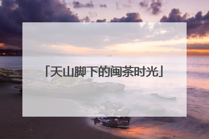 天山脚下的闽茶时光