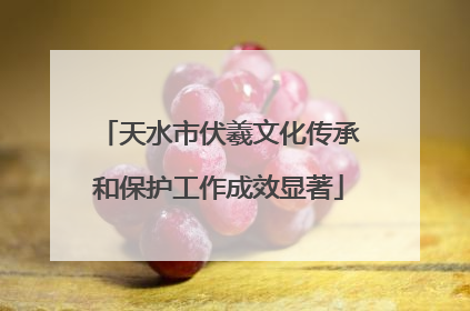 天水市伏羲文化传承和保护工作成效显著
