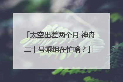太空出差两个月 神舟二十号乘组在忙啥？