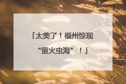 太美了！福州惊现“萤火虫海”！