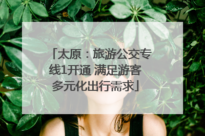 太原：旅游公交专线1开通 满足游客多元化出行需求