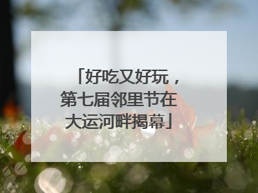 好吃又好玩，第七届邻里节在大运河畔揭幕