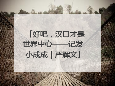 好吧，汉口才是世界中心——记发小成成｜严辉文