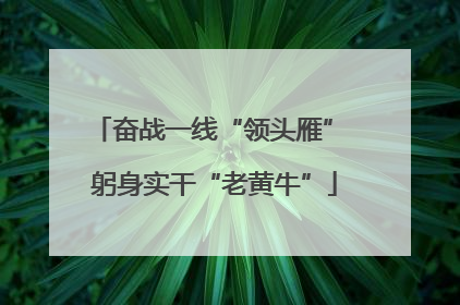 奋战一线“领头雁” 躬身实干“老黄牛”