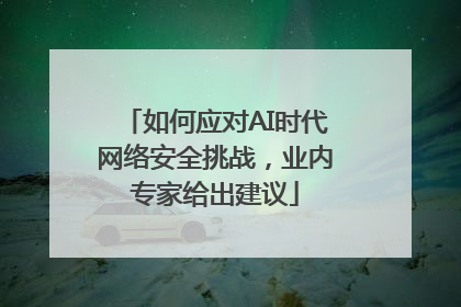 如何应对AI时代网络安全挑战，业内专家给出建议