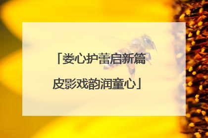 娄心护蕾启新篇 皮影戏韵润童心