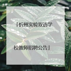 忻州实验双语学校教师招聘公告