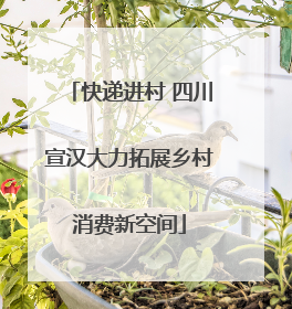 快递进村 四川宣汉大力拓展乡村消费新空间