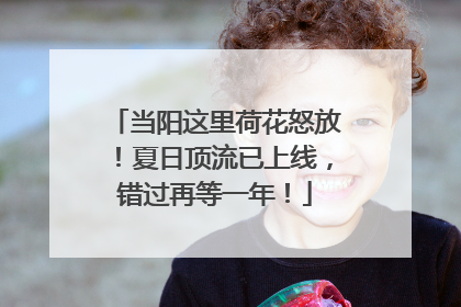 当阳这里荷花怒放！夏日顶流已上线，错过再等一年！