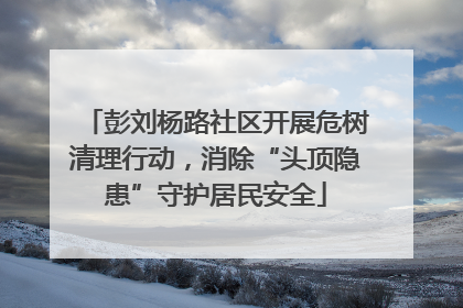彭刘杨路社区开展危树清理行动，消除“头顶隐患”守护居民安全