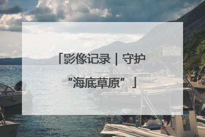 影像记录｜守护“海底草原”