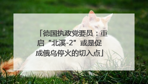 德国执政党要员：重启“北溪-2”或是促成俄乌停火的切入点