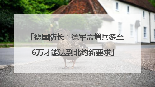 德国防长：德军需增兵多至6万才能达到北约新要求