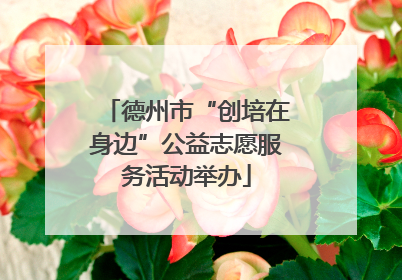 德州市“创培在身边”公益志愿服务活动举办