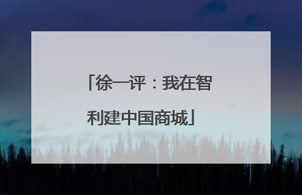 徐一评：我在智利建中国商城