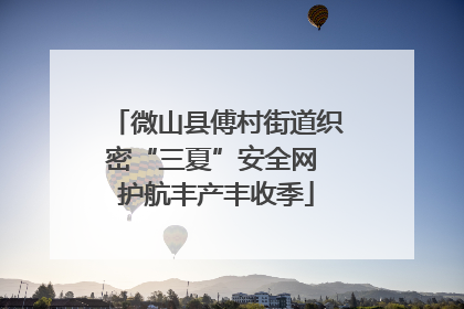 微山县傅村街道织密“三夏”安全网 护航丰产丰收季