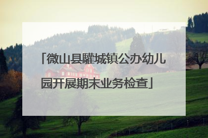 微山县驩城镇公办幼儿园开展期末业务检查