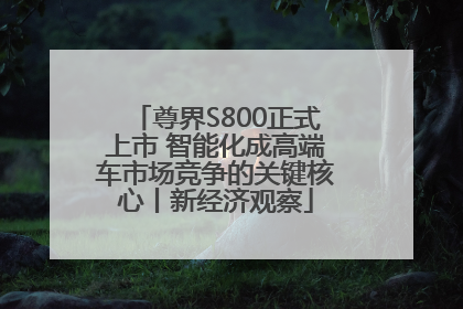 尊界S800正式上市 智能化成高端车市场竞争的关键核心丨新经济观察