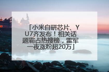 小米自研芯片、YU7齐发布！相关话题霸占热搜榜，雷军一夜涨粉超20万