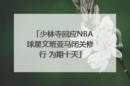 少林寺回应NBA球星文班亚马闭关修行 为期十天
