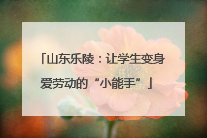 山东乐陵：让学生变身爱劳动的“小能手”