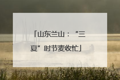 山东兰山：“三夏”时节麦收忙