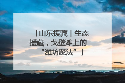 山东援藏｜生态援藏，戈壁滩上的“潍坊魔法”