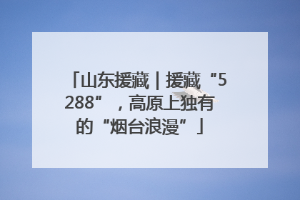 山东援藏｜援藏“5288”，高原上独有的“烟台浪漫”