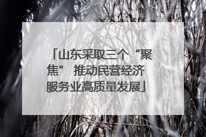 山东采取三个“聚焦” 推动民营经济服务业高质量发展