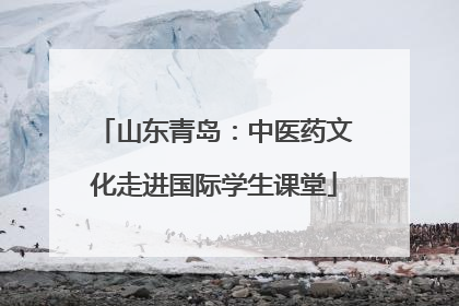 山东青岛：中医药文化走进国际学生课堂