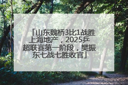 山东魏桥3比1战胜上海地产，2025乒超联赛第一阶段，樊振东七战七胜收官