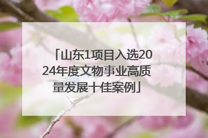 山东1项目入选2024年度文物事业高质量发展十佳案例