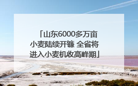 山东6000多万亩小麦陆续开镰 全省将进入小麦机收高峰期