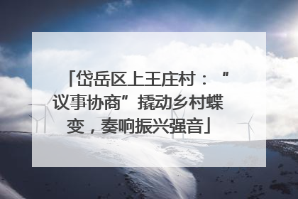 岱岳区上王庄村：“议事协商”撬动乡村蝶变，奏响振兴强音