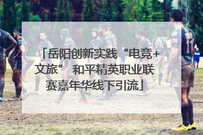 岳阳创新实践“电竞+文旅” 和平精英职业联赛嘉年华线下引流