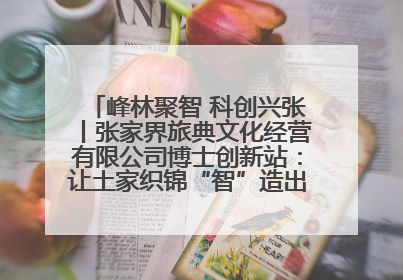 峰林聚智 科创兴张丨张家界旅典文化经营有限公司博士创新站：让土家织锦“智”造出非遗新传奇