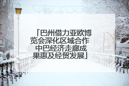 巴州借力亚欧博览会深化区域合作 中巴经济走廊成果惠及经贸发展