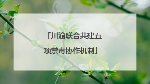 川渝联合共建五项禁毒协作机制