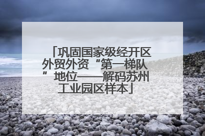 巩固国家级经开区外贸外资“第一梯队”地位——解码苏州工业园区样本